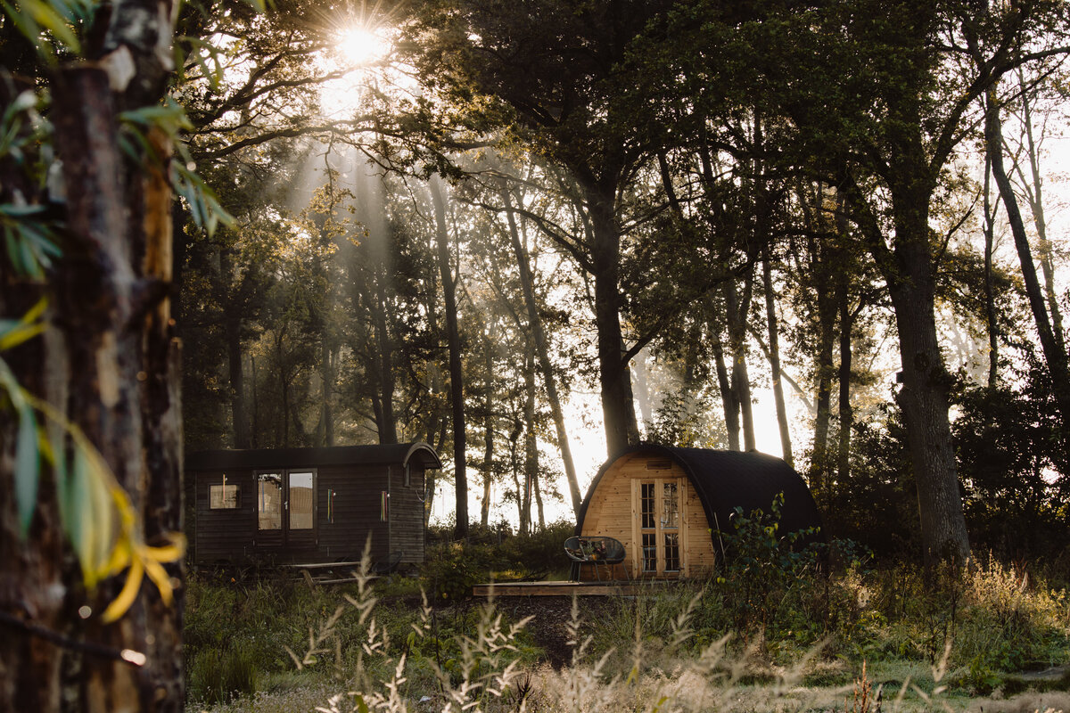 LaJolaPhotography_WonderWoods_0924-212