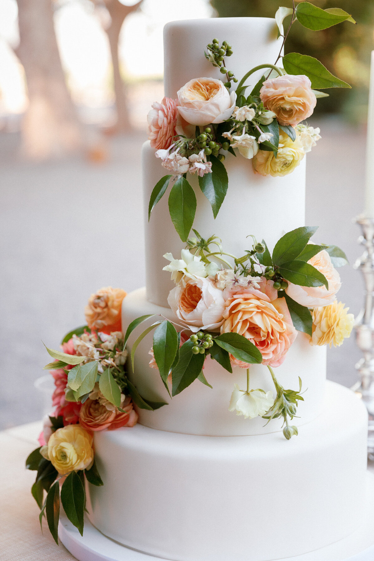meg-smith-napa-wedding-beaulieuu-garden00035