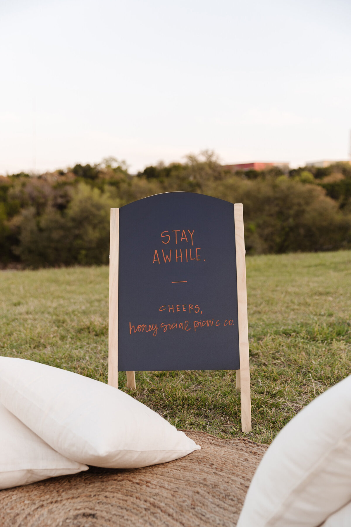 Austin Luxury Picnic - French Theme - Honey Social Picnic Co.