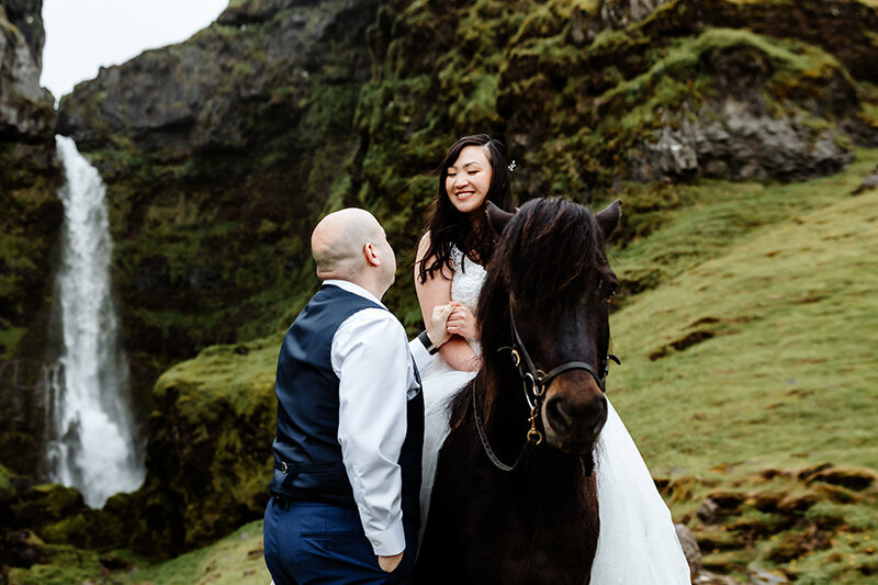 bride and groom in front of a waterfall with an icelandic horse on their elopement day