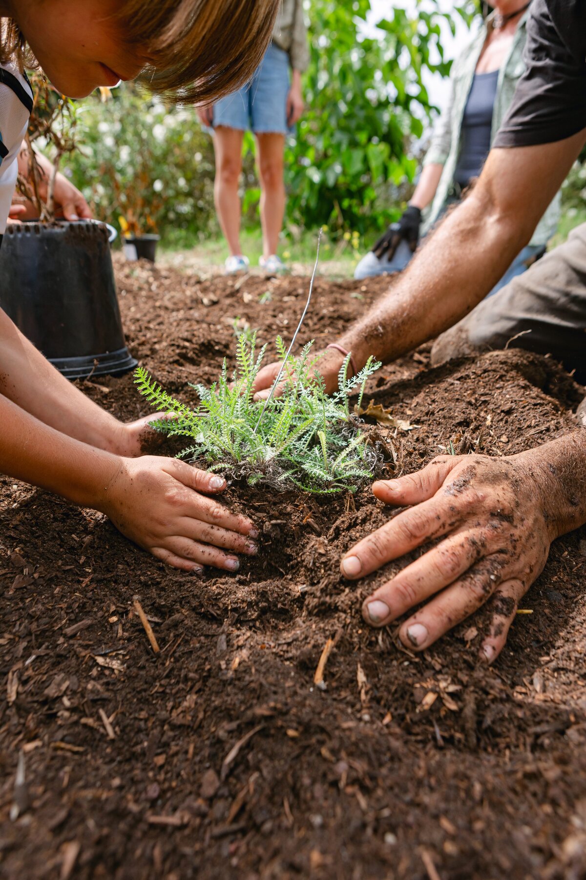 The-Ripe-Org-Farm-Ventura-California-Santa-Paula-Non-Profit-0020