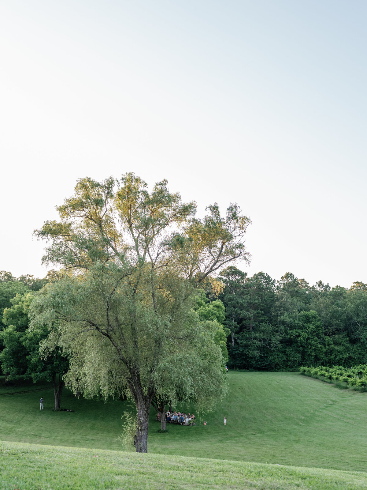 Scott_Mansion_Editorial_June_2025_Abigail_Malone_Photography-426