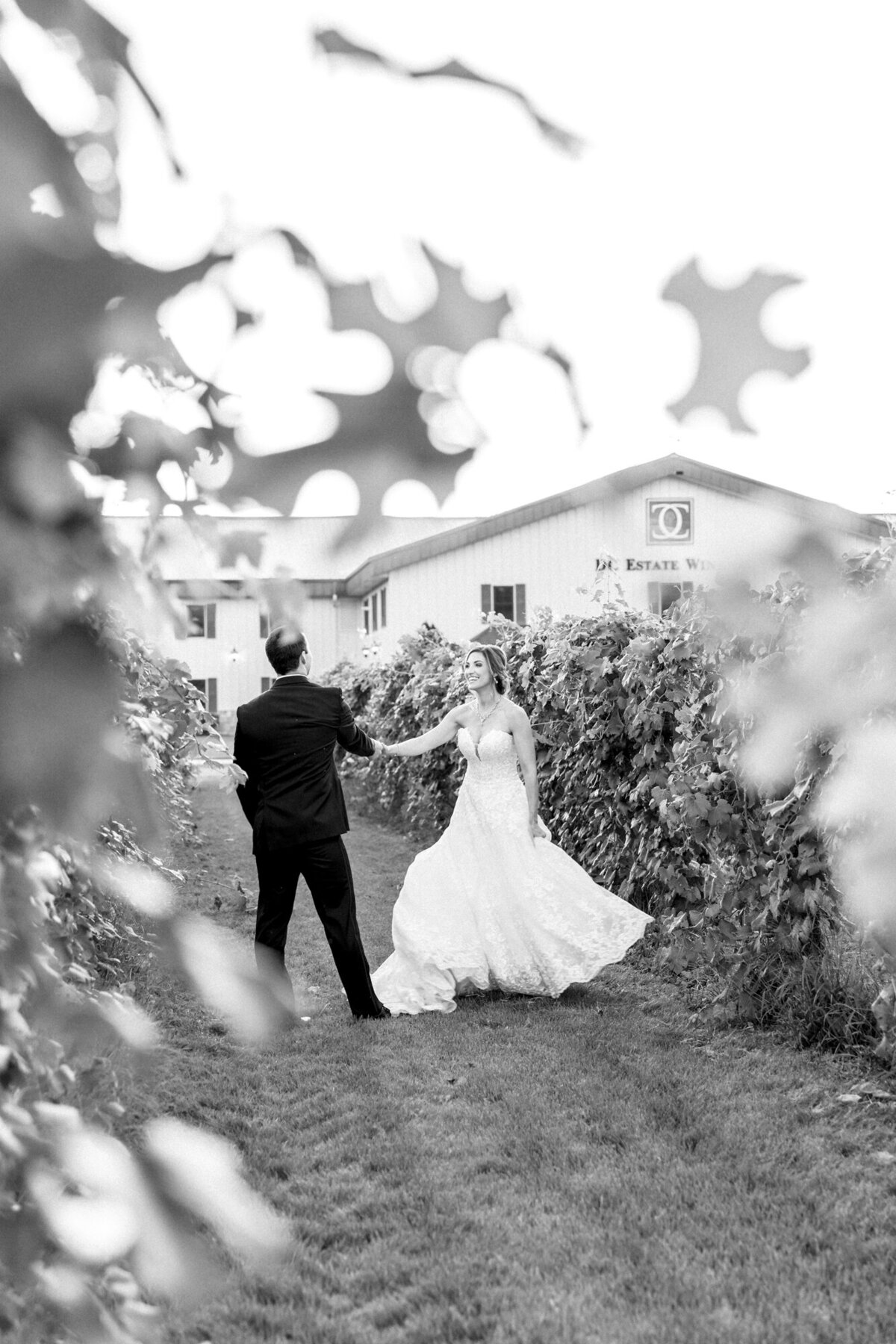 Summer-Wedding-DC-Estate-Winery-Beloit-Illinois-Meg-Dunn-Photography-99