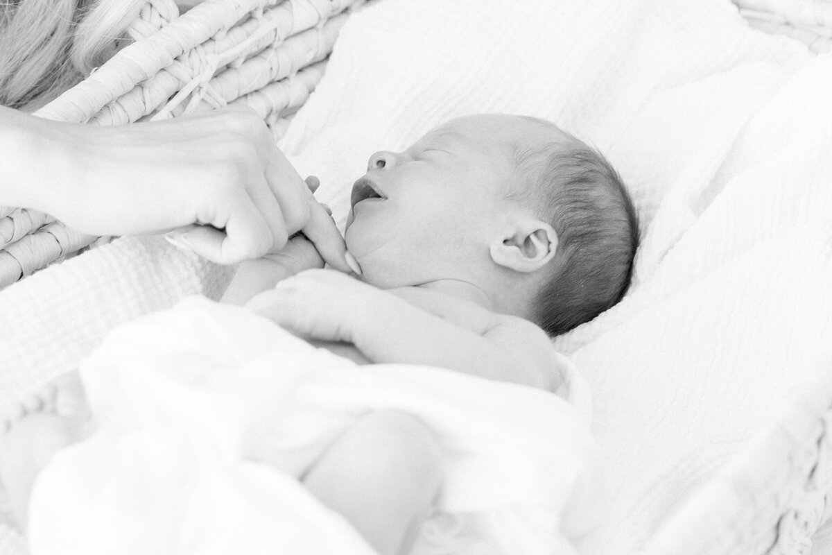 newborn photography charlotte nc