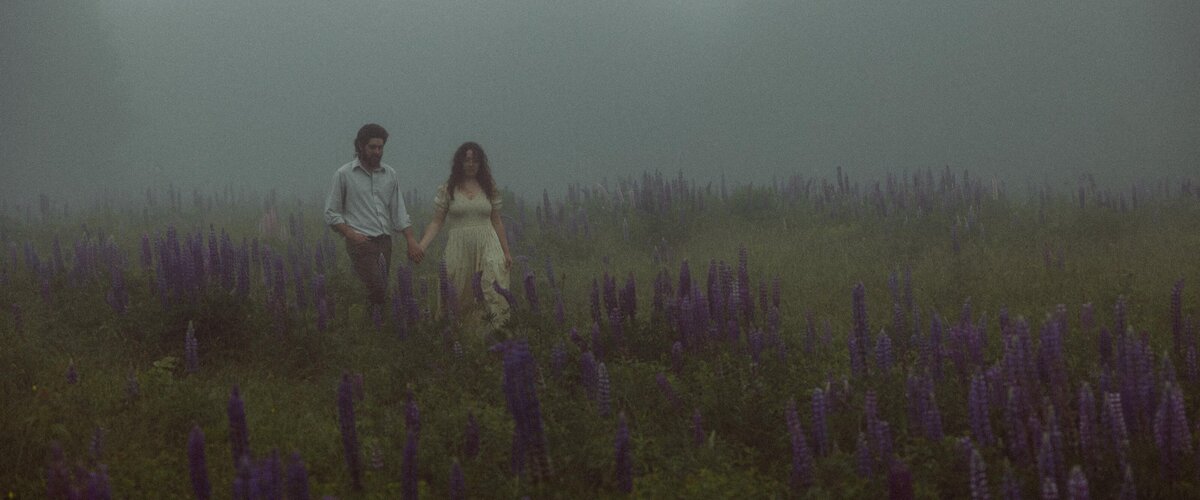 Viewing Lupines in Maine