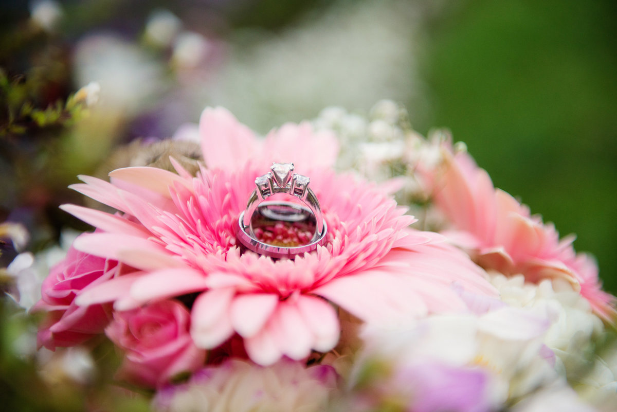 castle farms wedding photographers charlevoix michigan