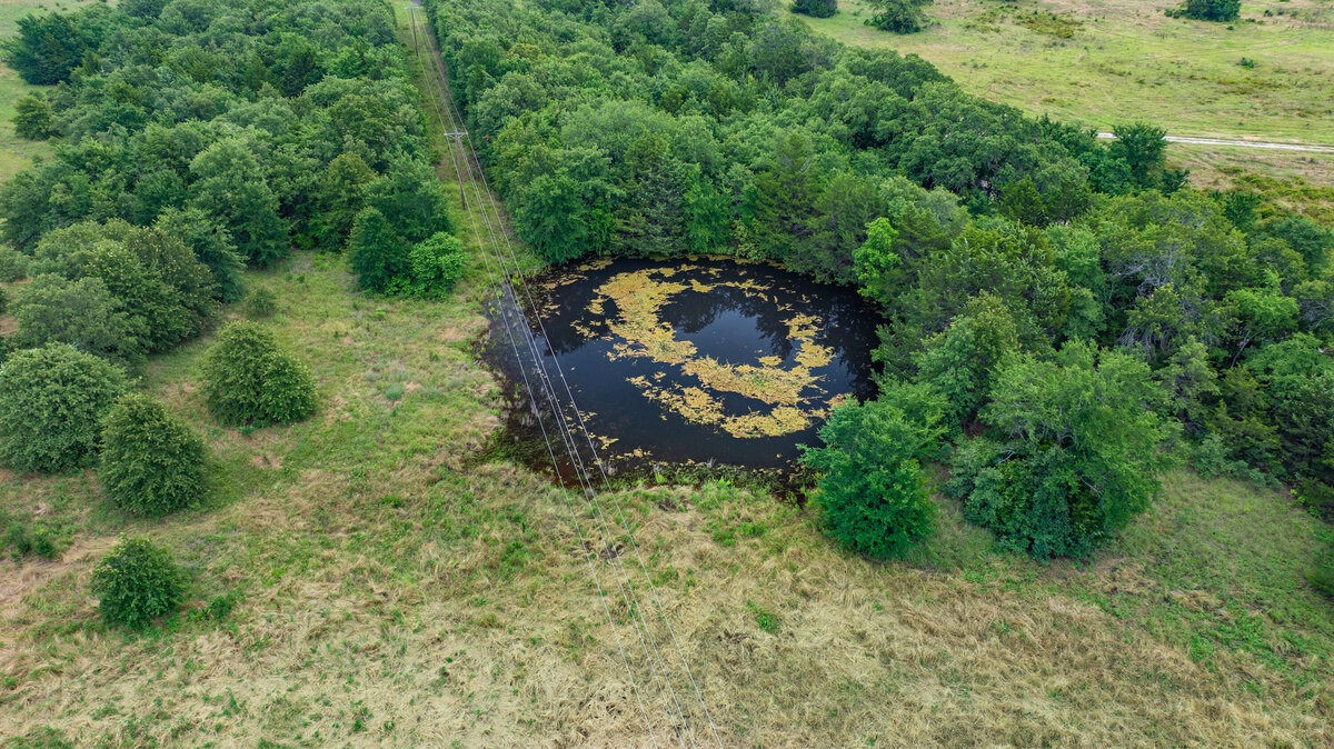 33.6 acres of treed land near Rock Creek Expansion for sale