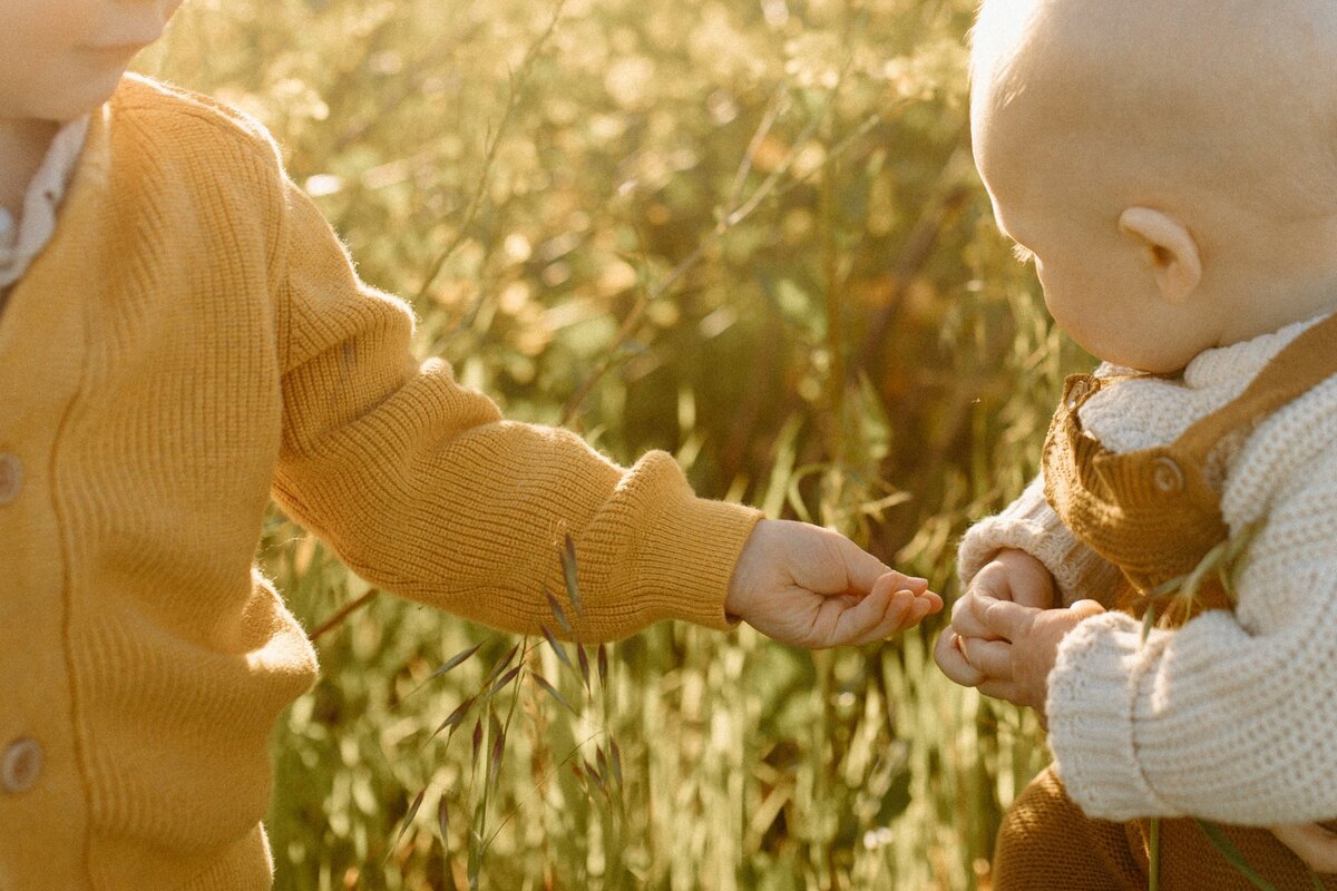 northern california family photographer 