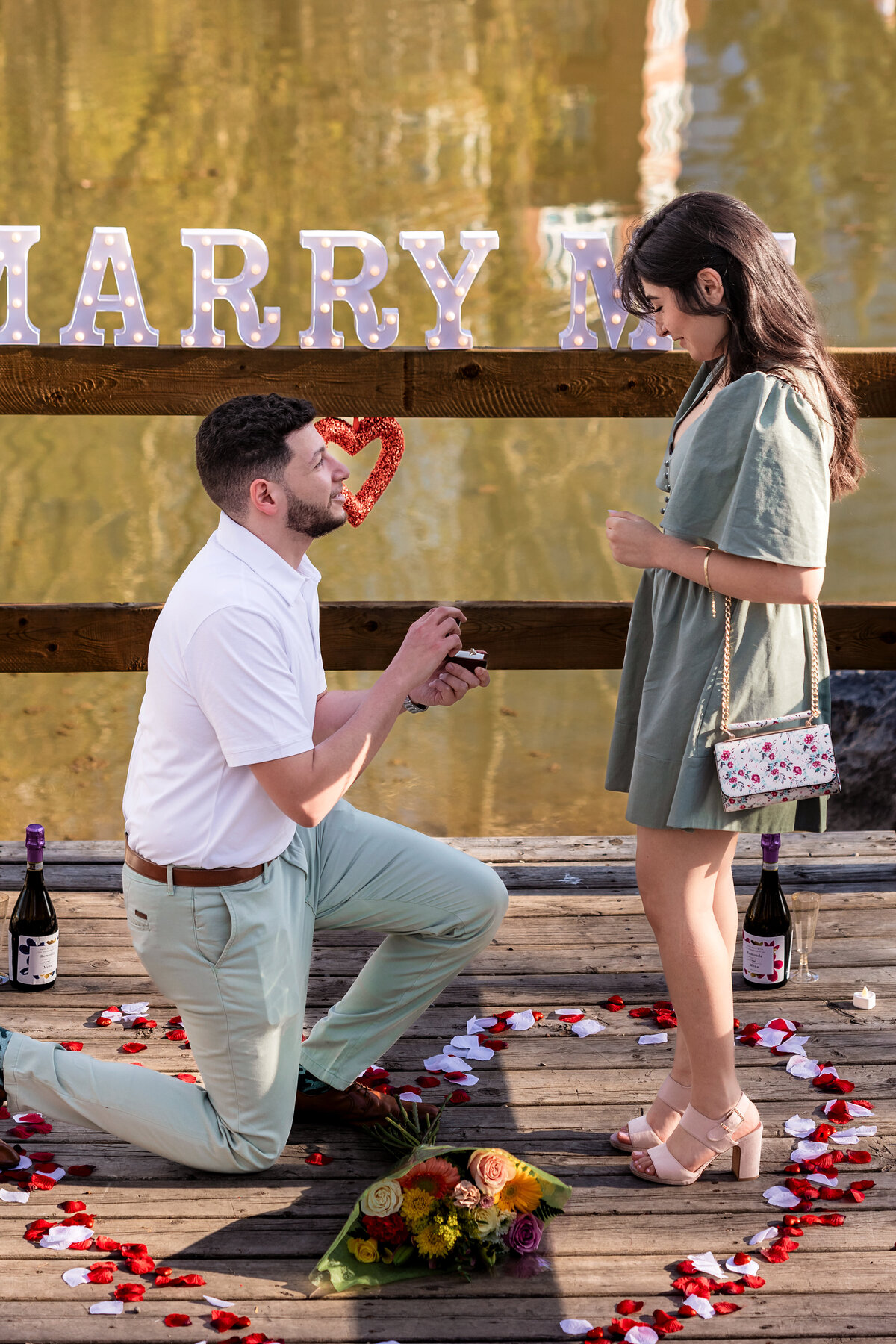 suprise-proposal-setup