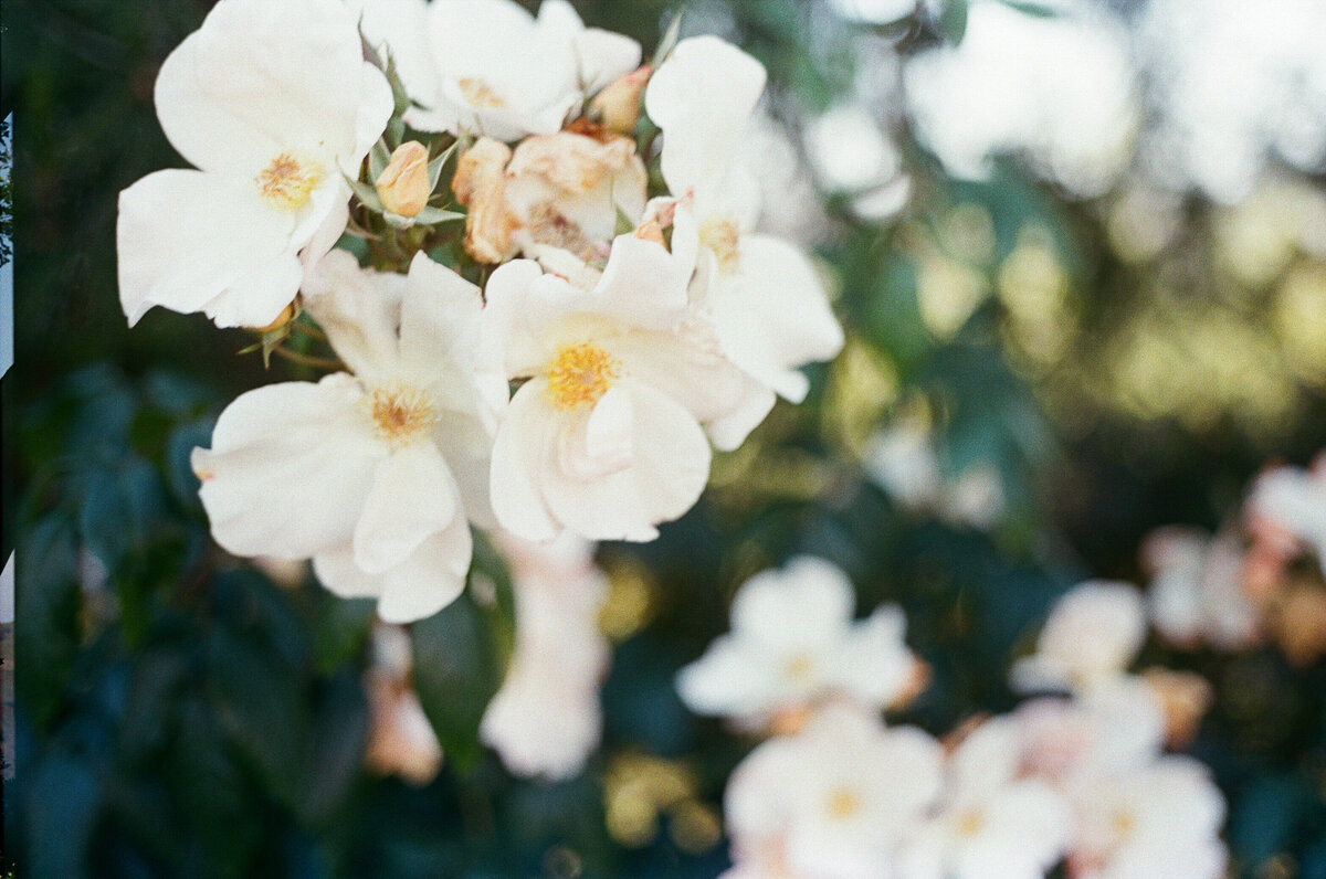 Film-318