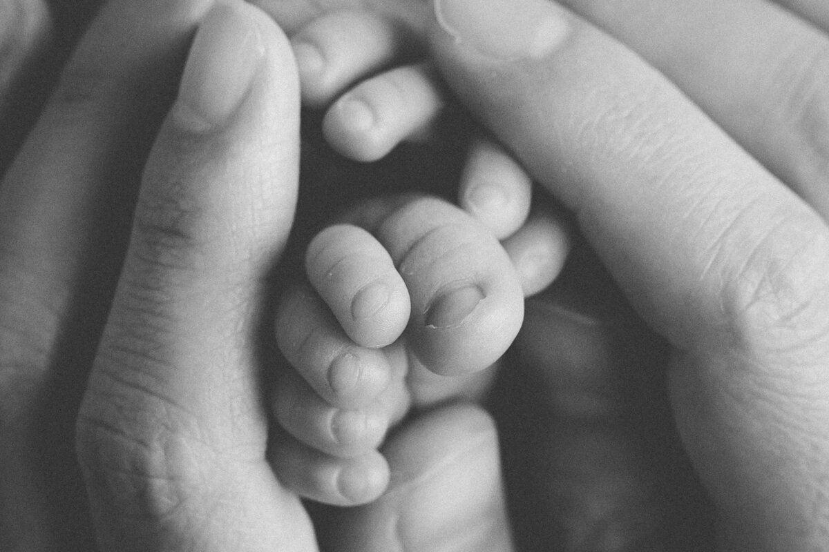 san diego newborn photographer