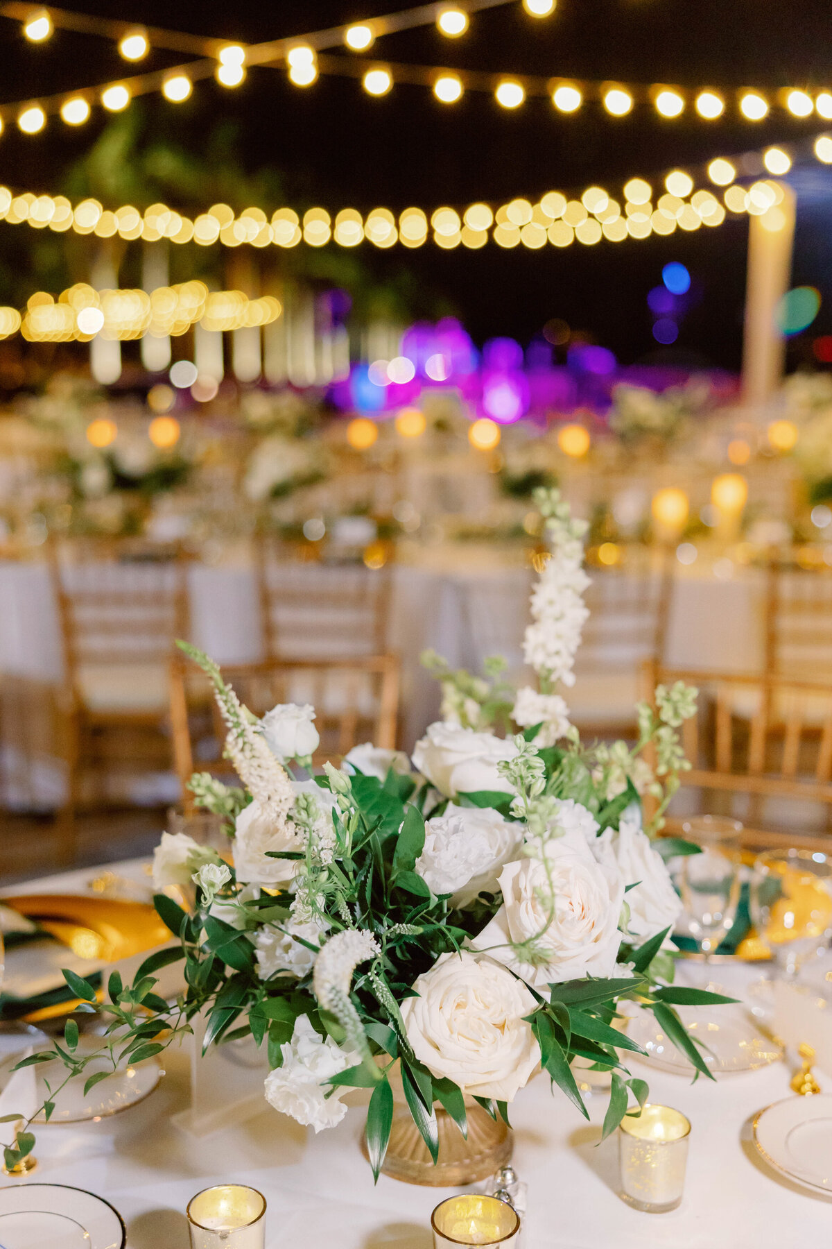 Ca' d'Zan Wedding - The Ringling - Sarasota Wedding Photographer - Works of Wonder Photography-2 (7)