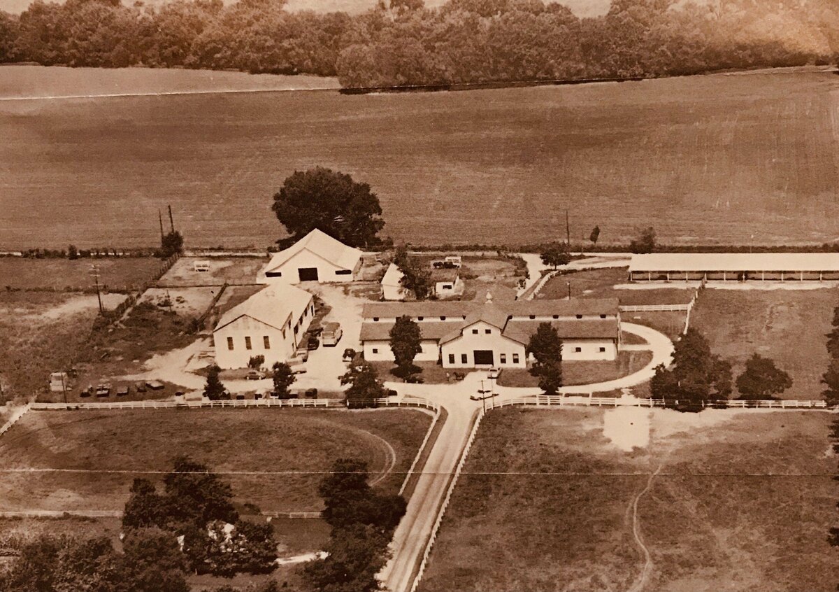 22. Harlinsdale