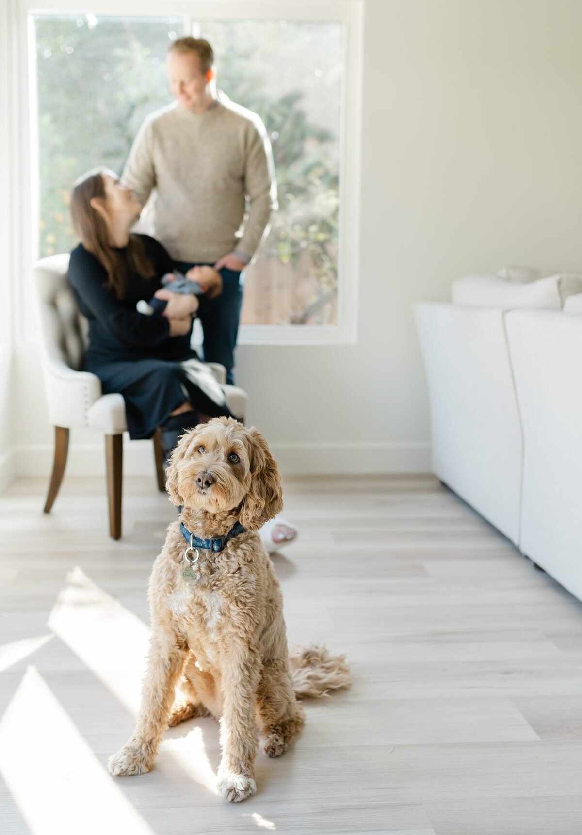 Carlsbad In home newborn lifestyle photo