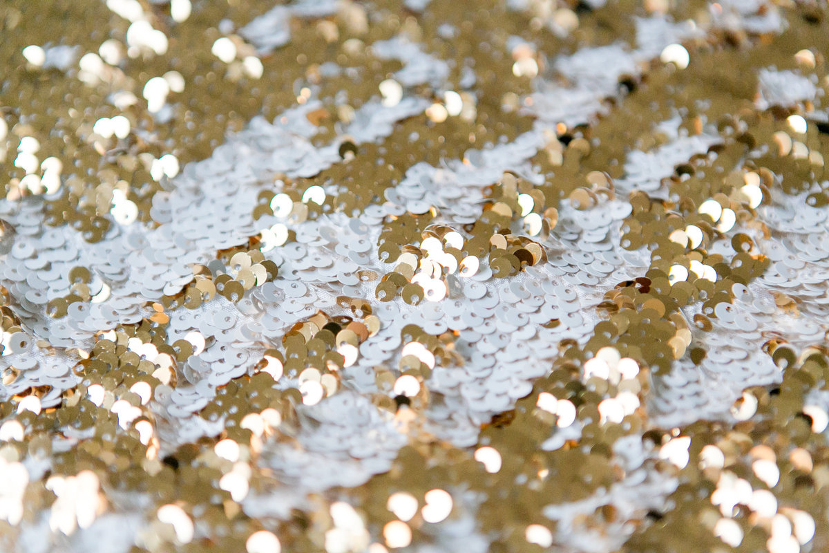 Pixi-SequinBackdrops -05