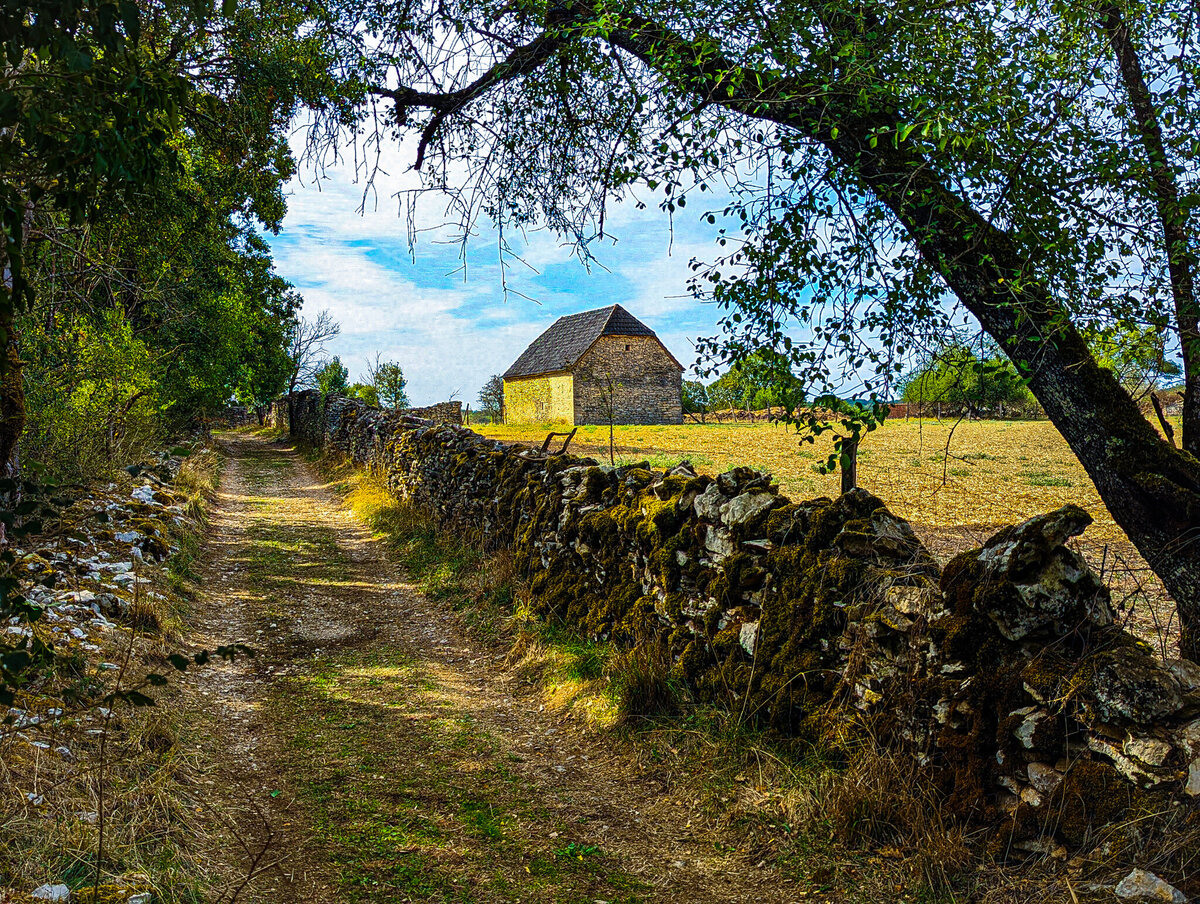 Hilltop barn