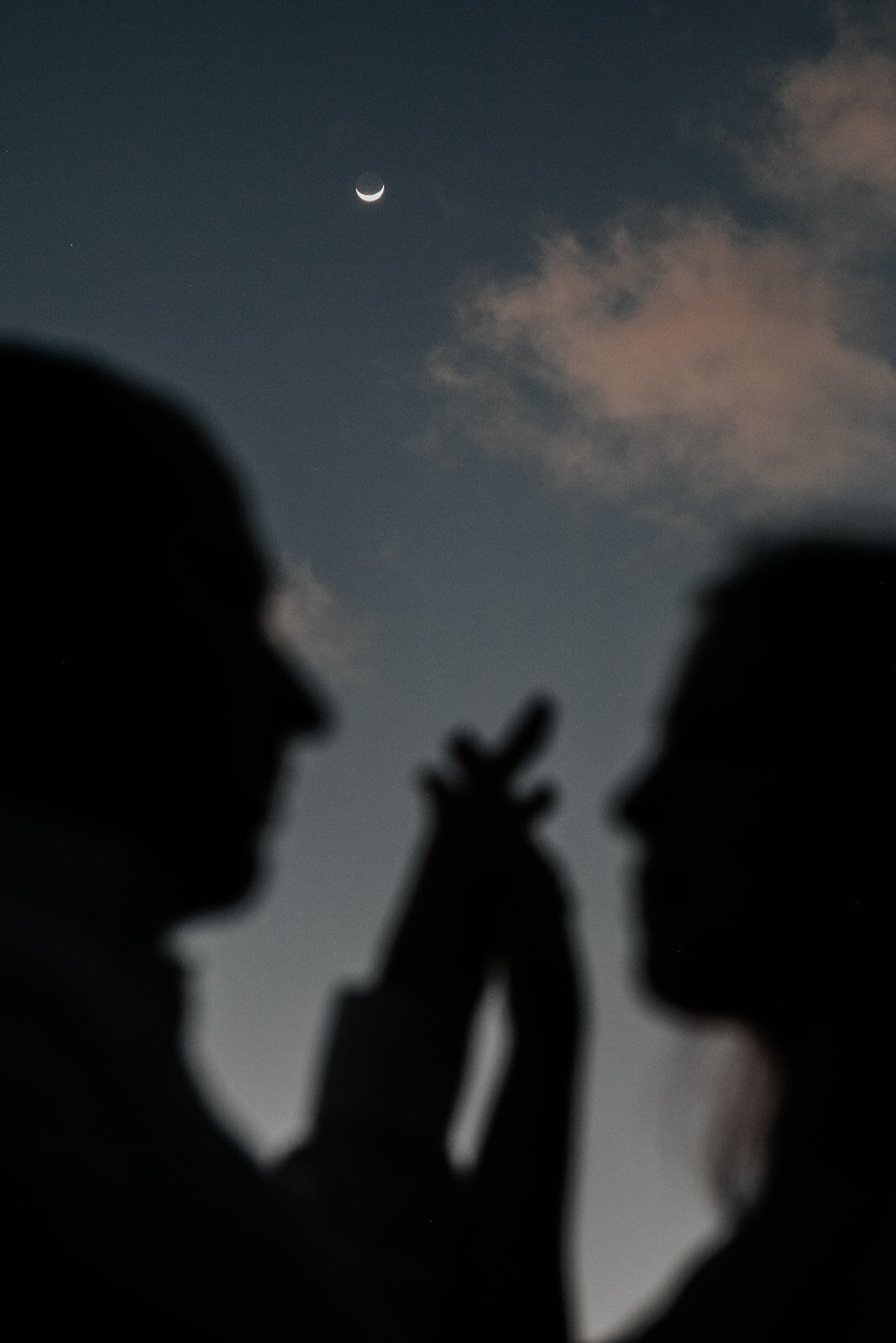 TonieChristinePhotography.Vanessa+Dani.Engaged-391_websize