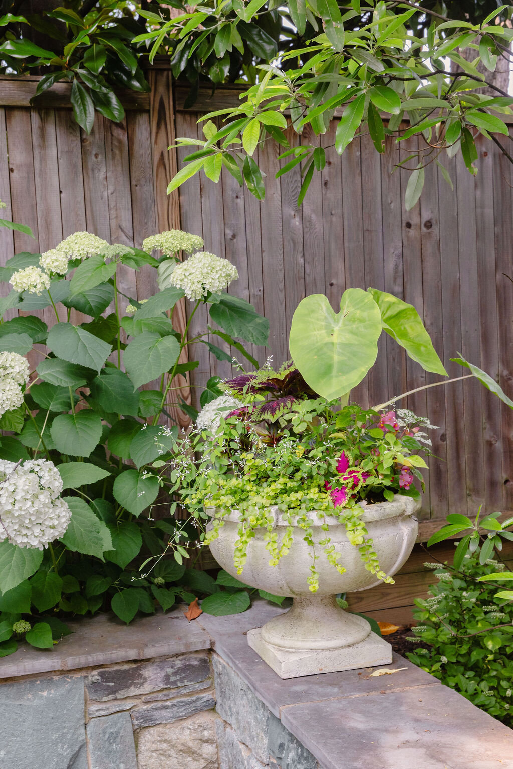 Lanier Landscapes DMV Landscape Designer 3