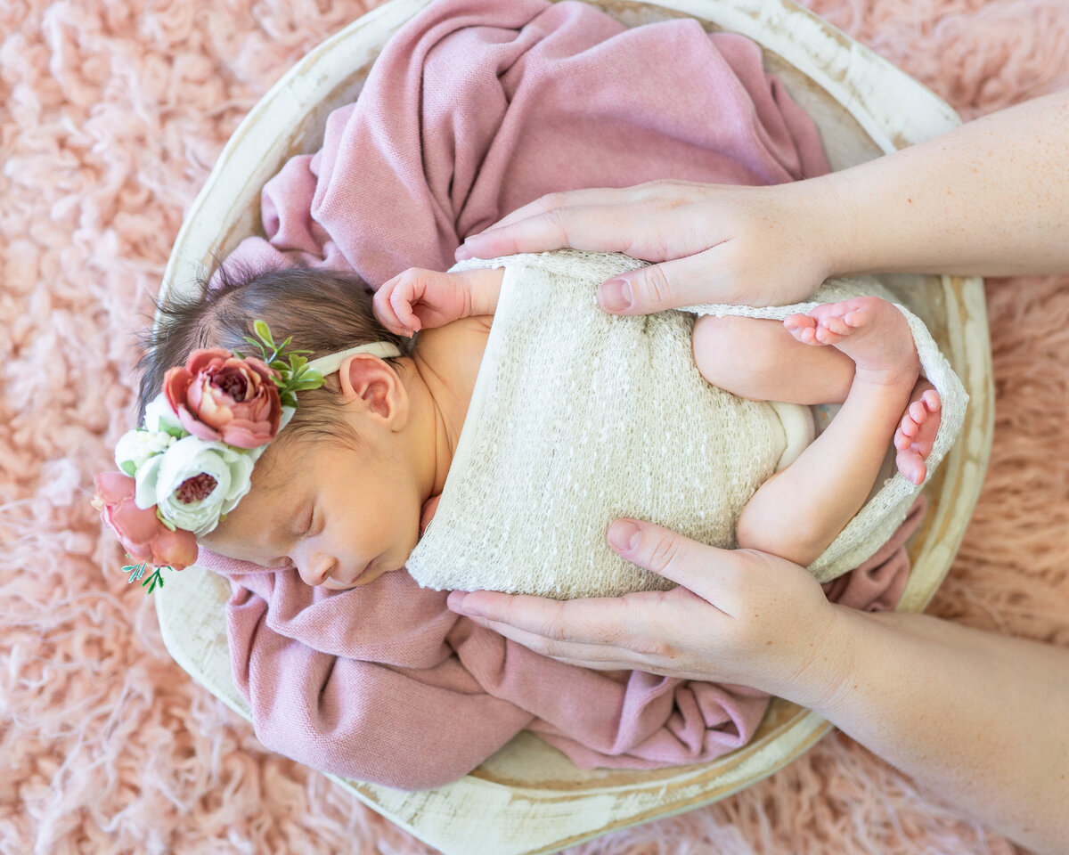 Baby Esmeralda Rose-57