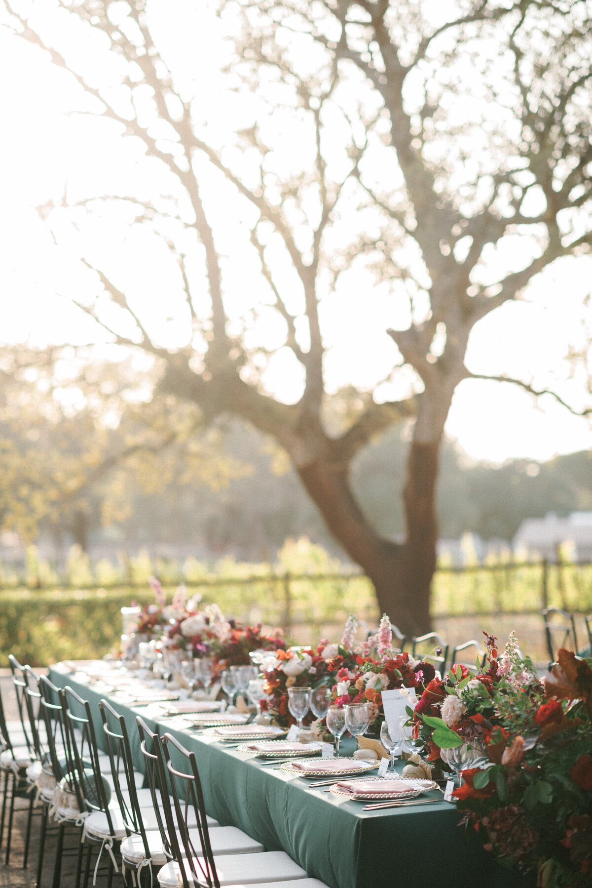 LesAnagnou_wed_31082019_Stephanie_Garrett_865