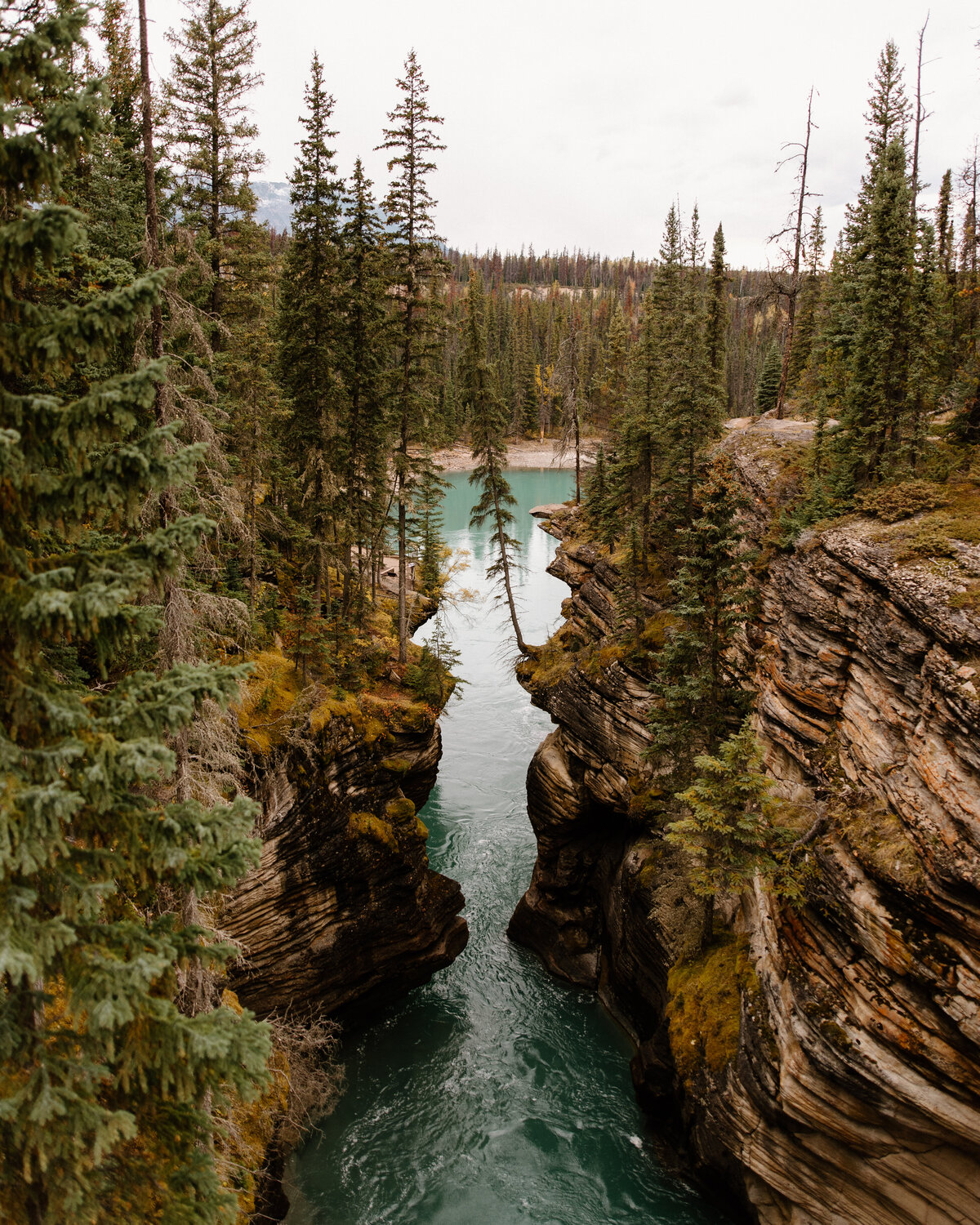 jasper_national_park_canada_1