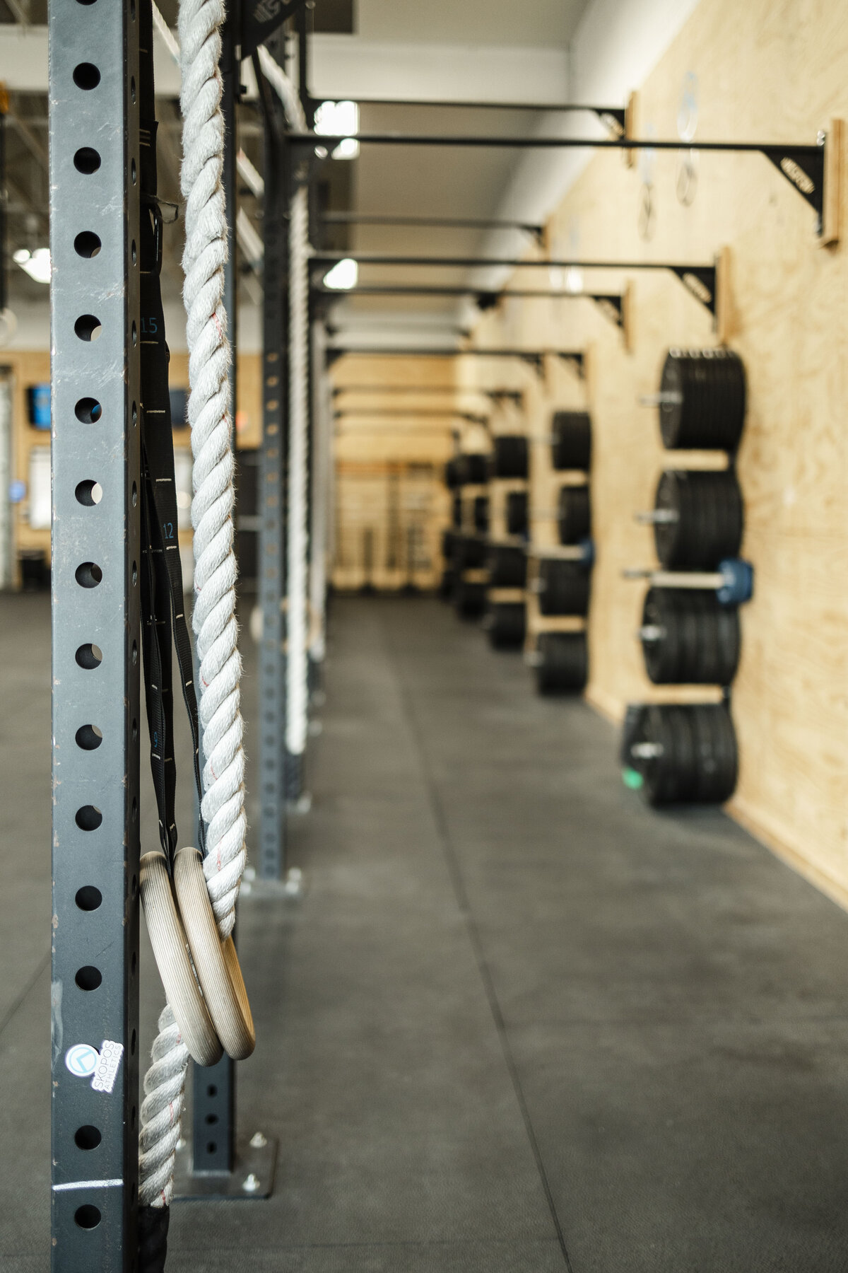 pull up bars