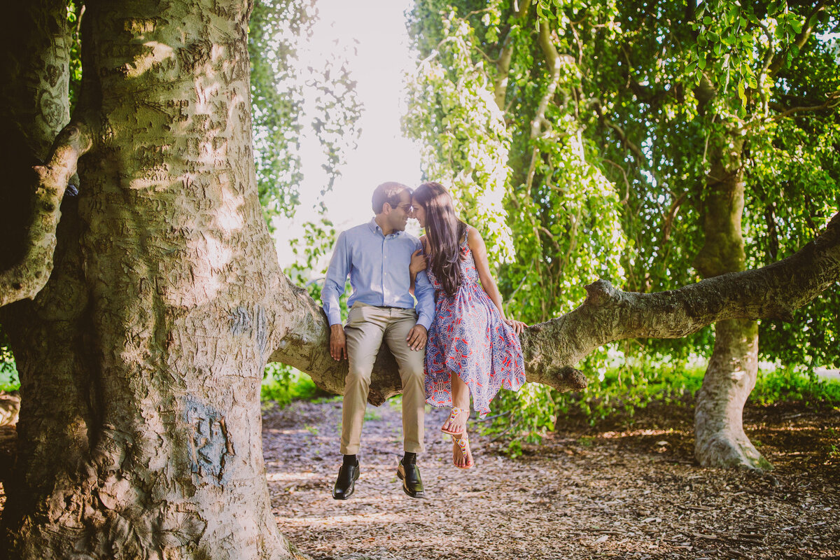 A couple sitting on a tree at the rockwood hall state park in pleasantville ny