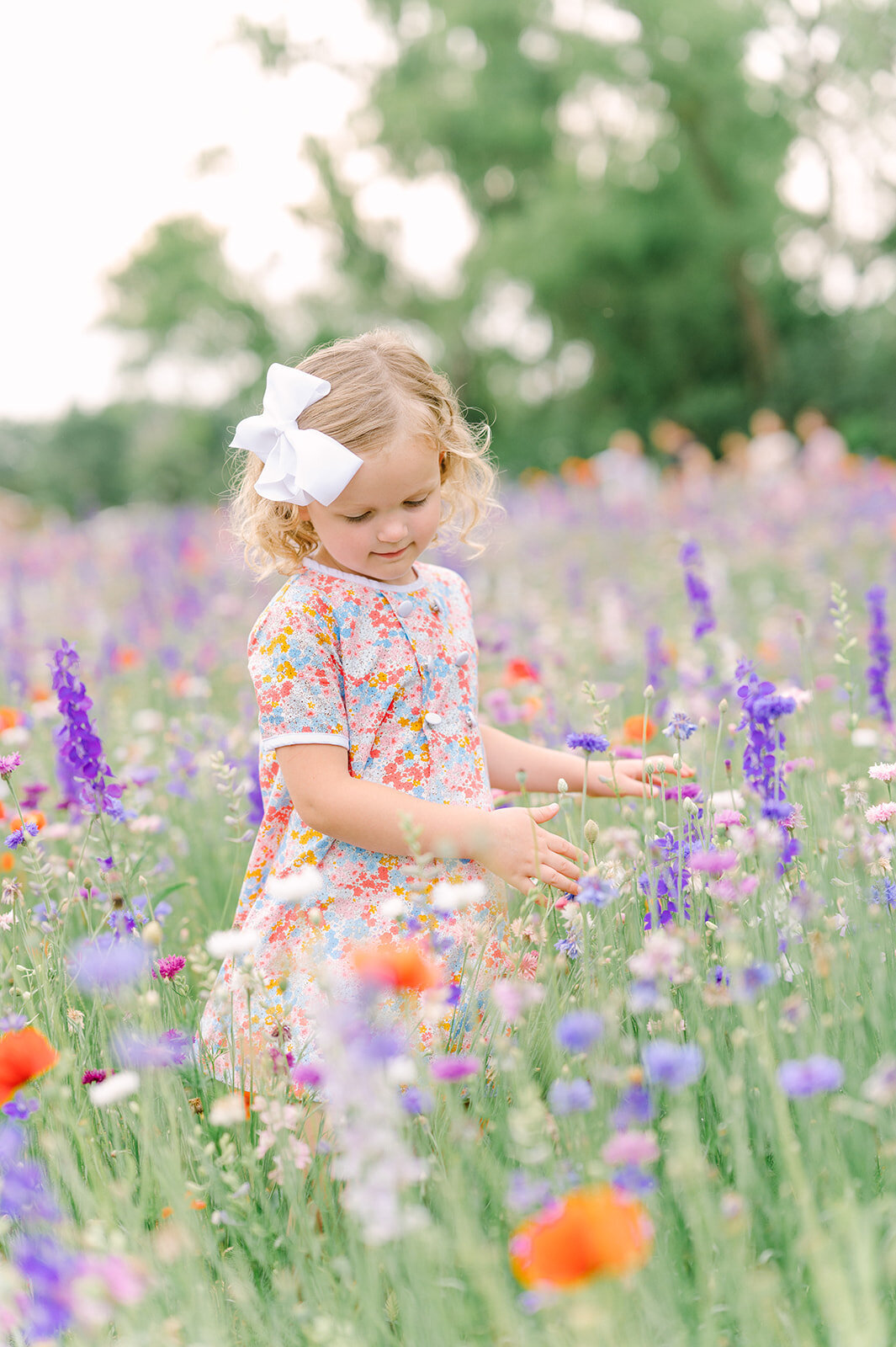 dallas-wildflower-photography-11