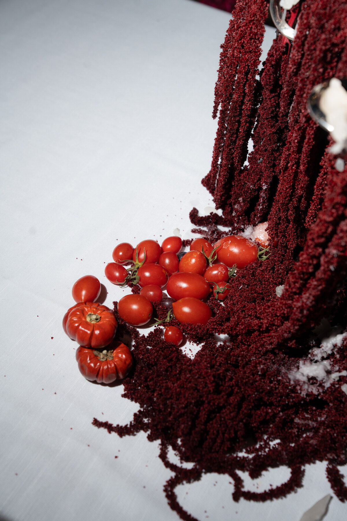 54 - Jesse and Spencer x klassen weddings x Masseria Borgo Ritella_1149