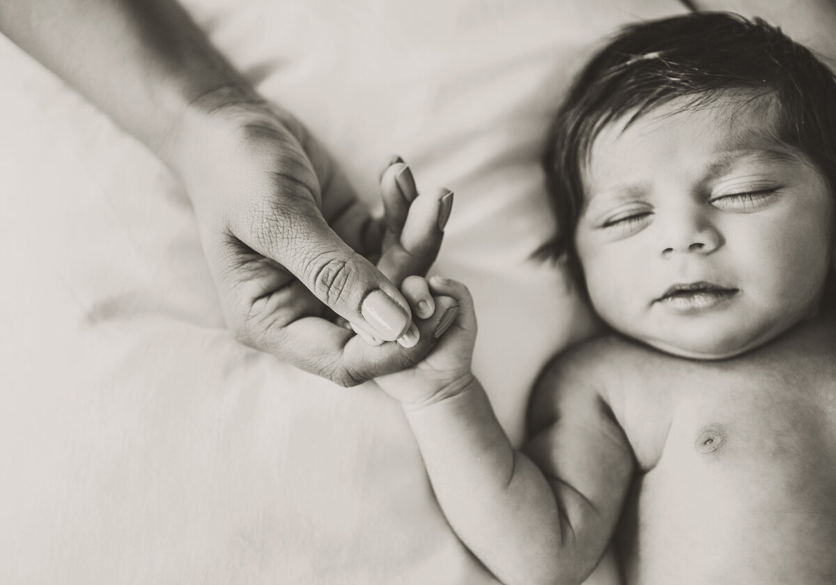 Laurel-Harrish-Photography-Newborn-00243