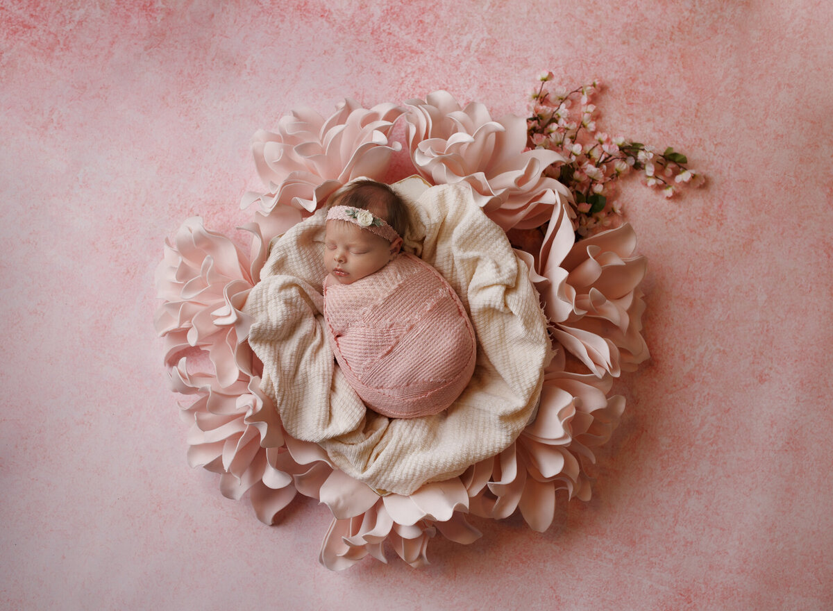 Utah-newborn-photography-4