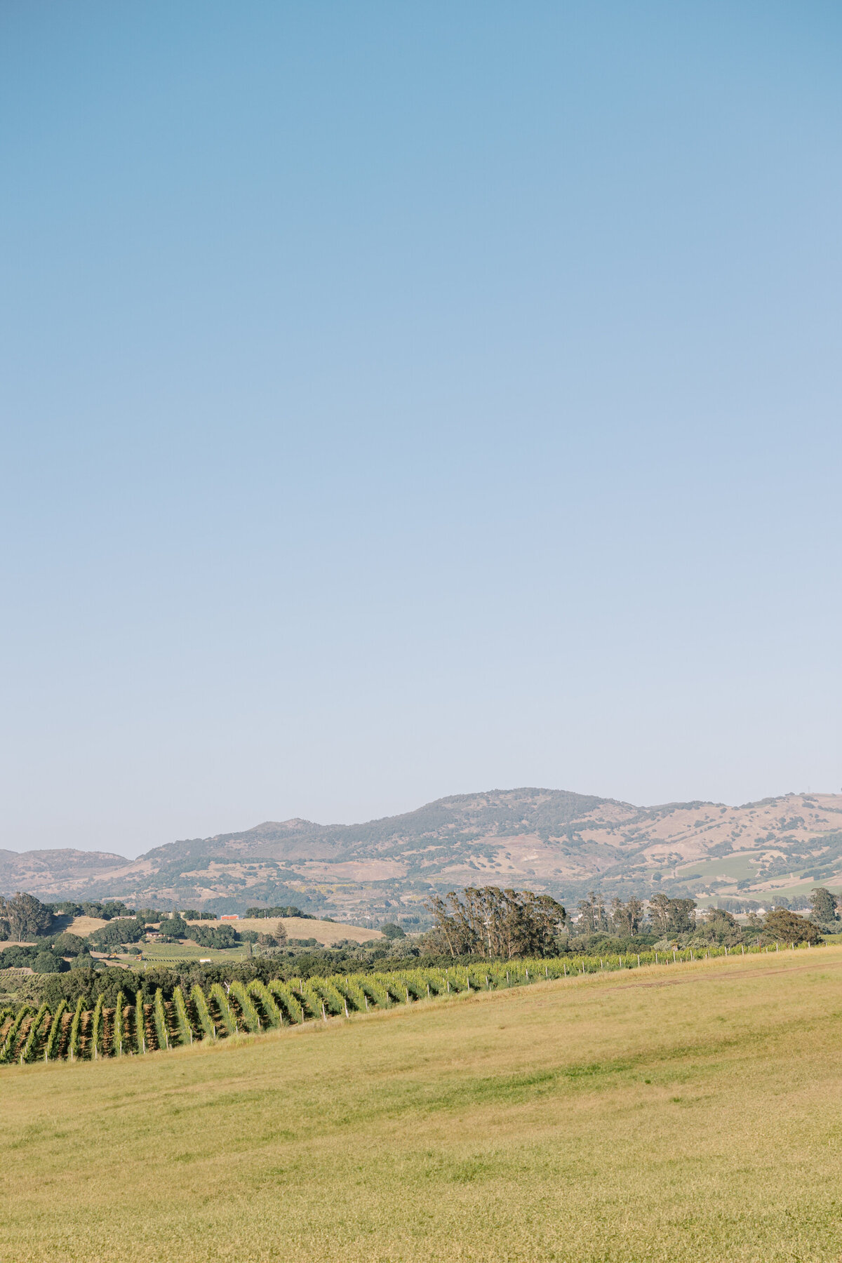 Carneros Resort Wedding Napa-1