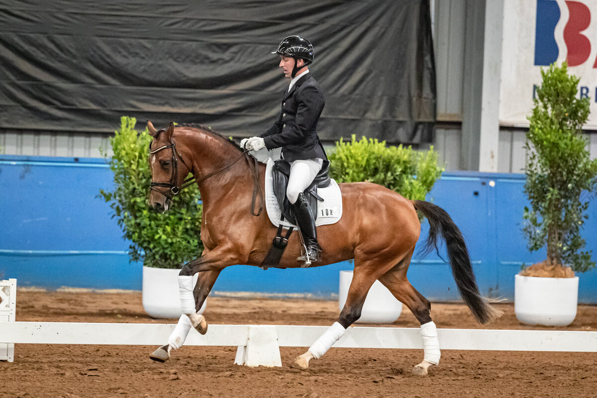 JLW EQUITATION (21)