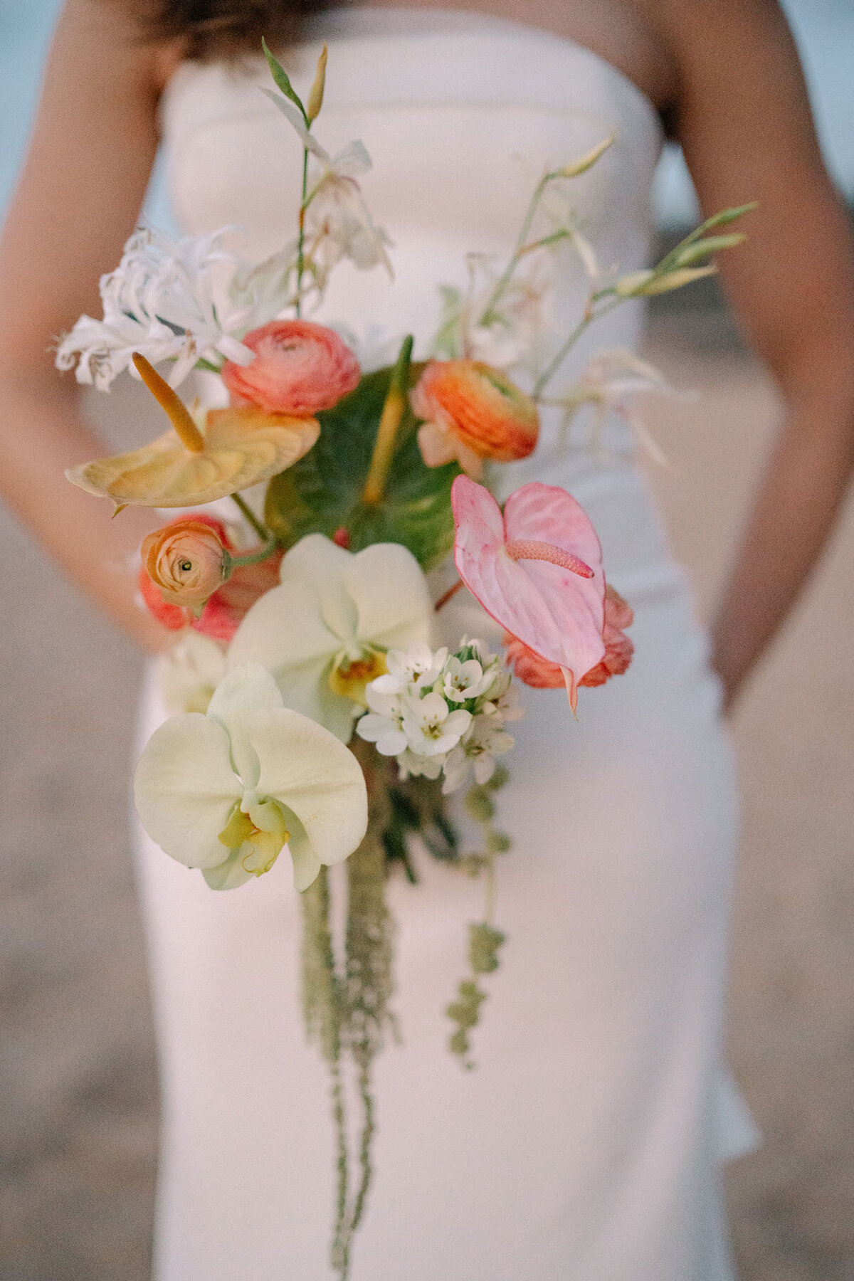 GraMicELPsp_172_7870