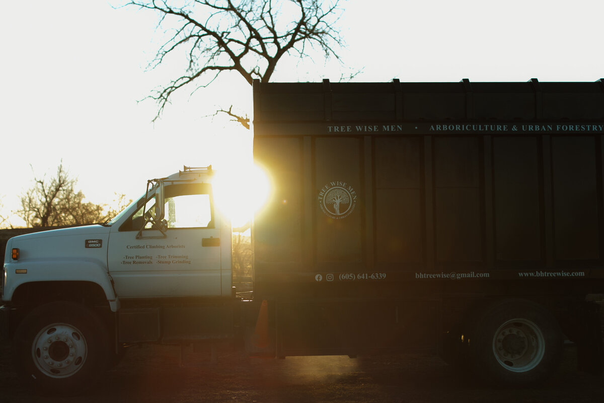 local-tree-service-black-hills-sd