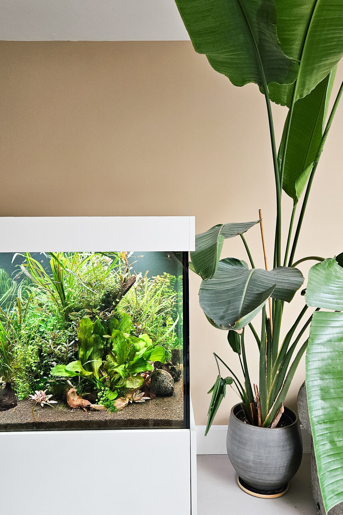 BOU Living project Driebergen interieurontwerp aquarium
