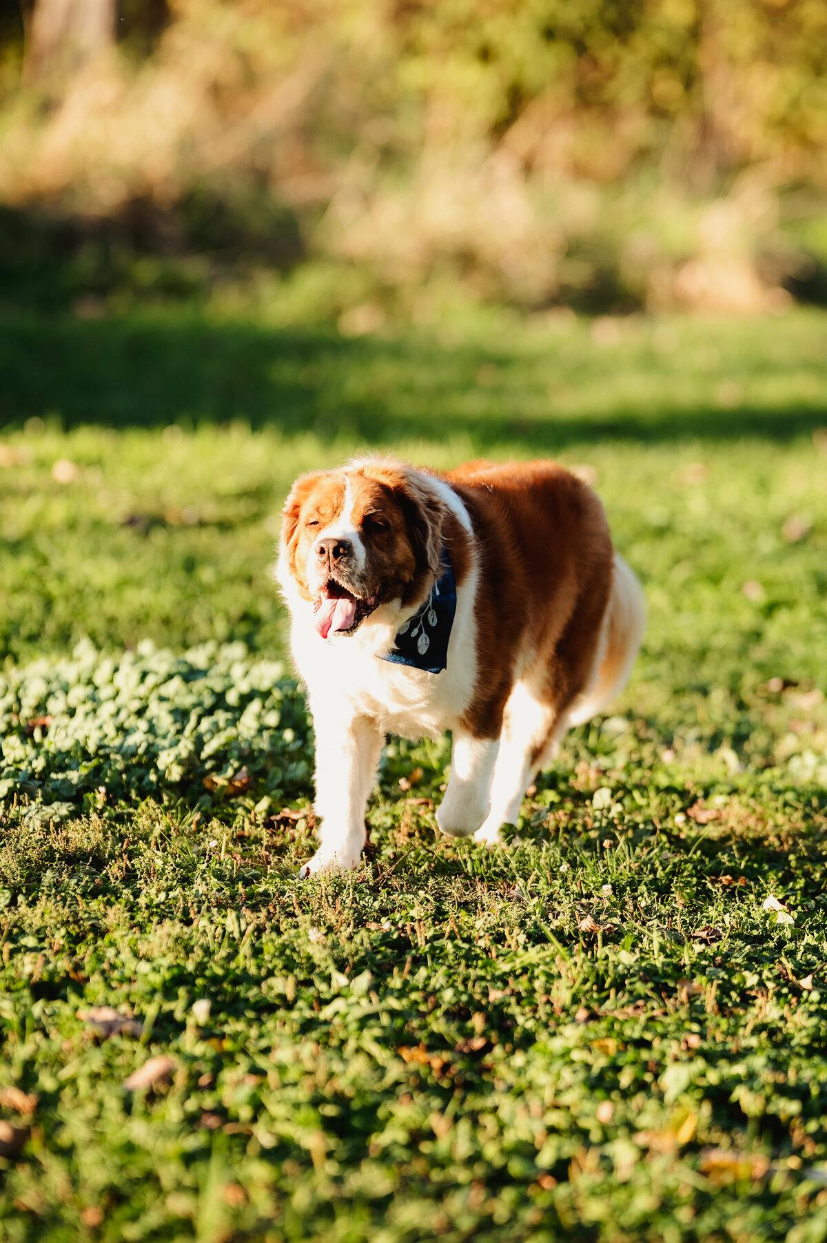 NicoleS_Fall2025_061