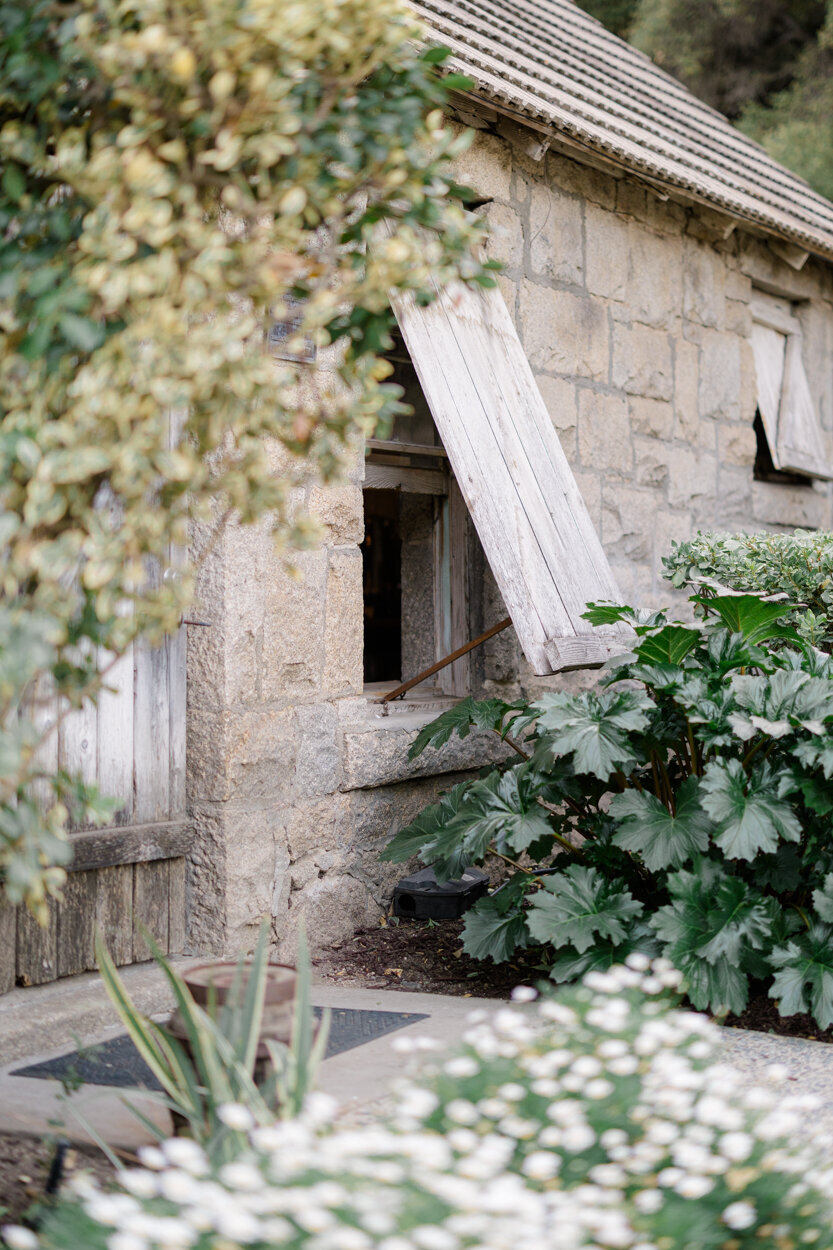 Amanda Shupe Photography _ 52