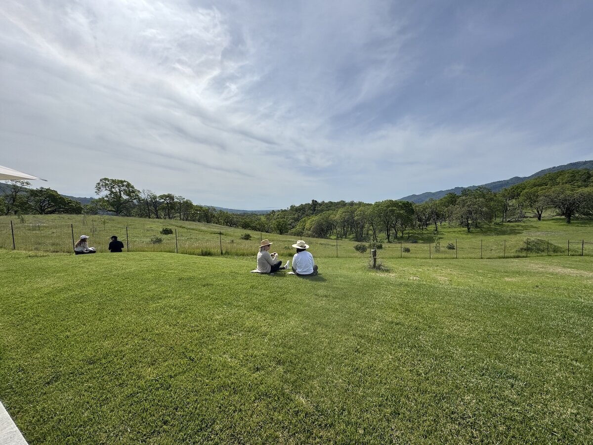 Claudia Fulga Retreats-Forty Forty Retreats- San Fransisco, California Leadership Coaching7