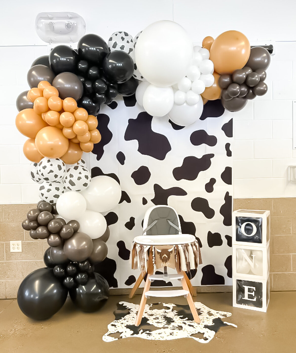 balloons-bismarck-nd-24