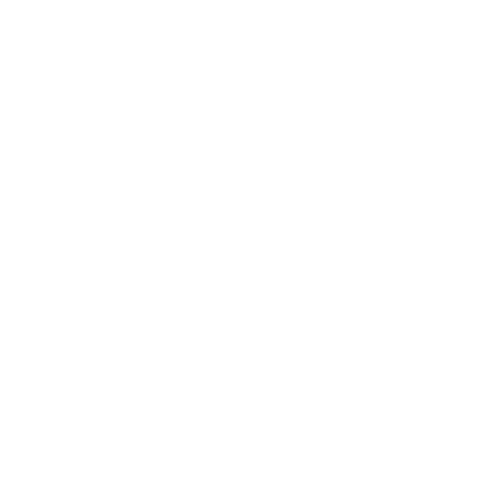 junebug weddings