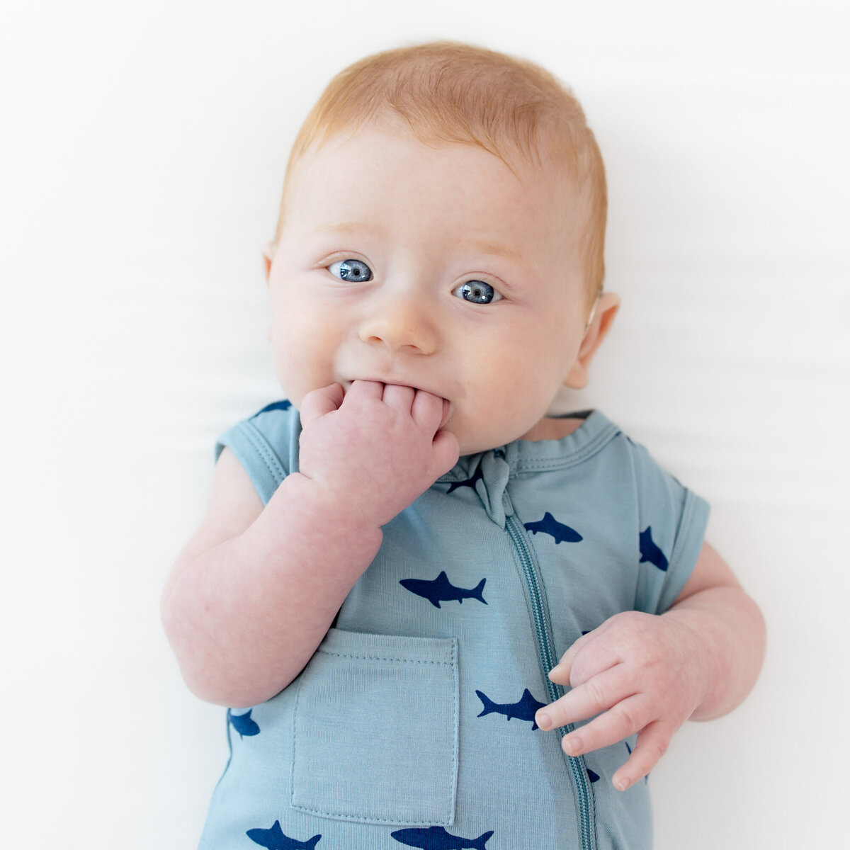 2024-05-15KyteBabyFatBaby-9771
