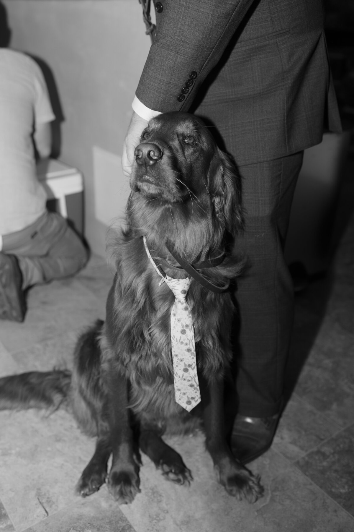 C+J_PREVIEWS_KAYLAESPARZAPHOTOGRAPHY-196