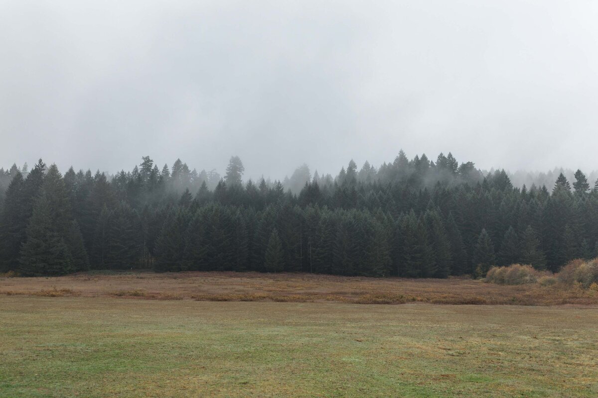 silver-falls-state-park-wedding-forest-13