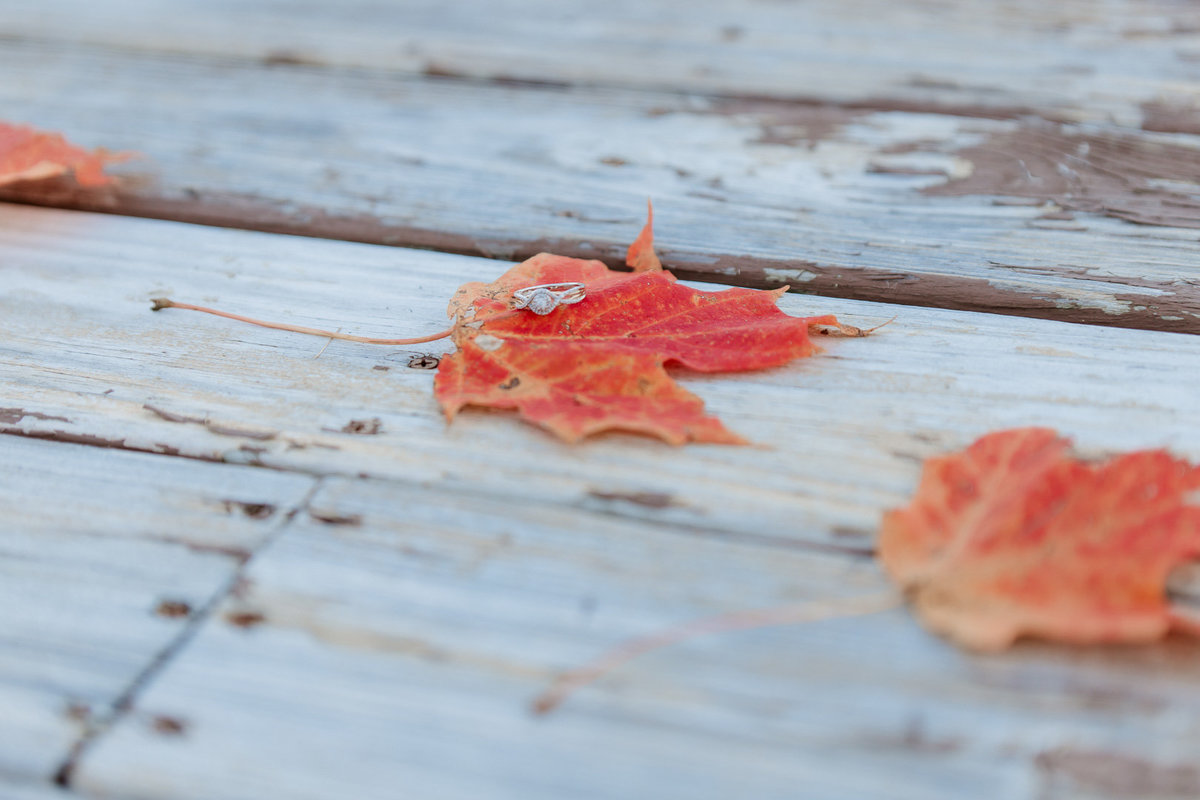 Dreamy Autumn Engagement Session 0014