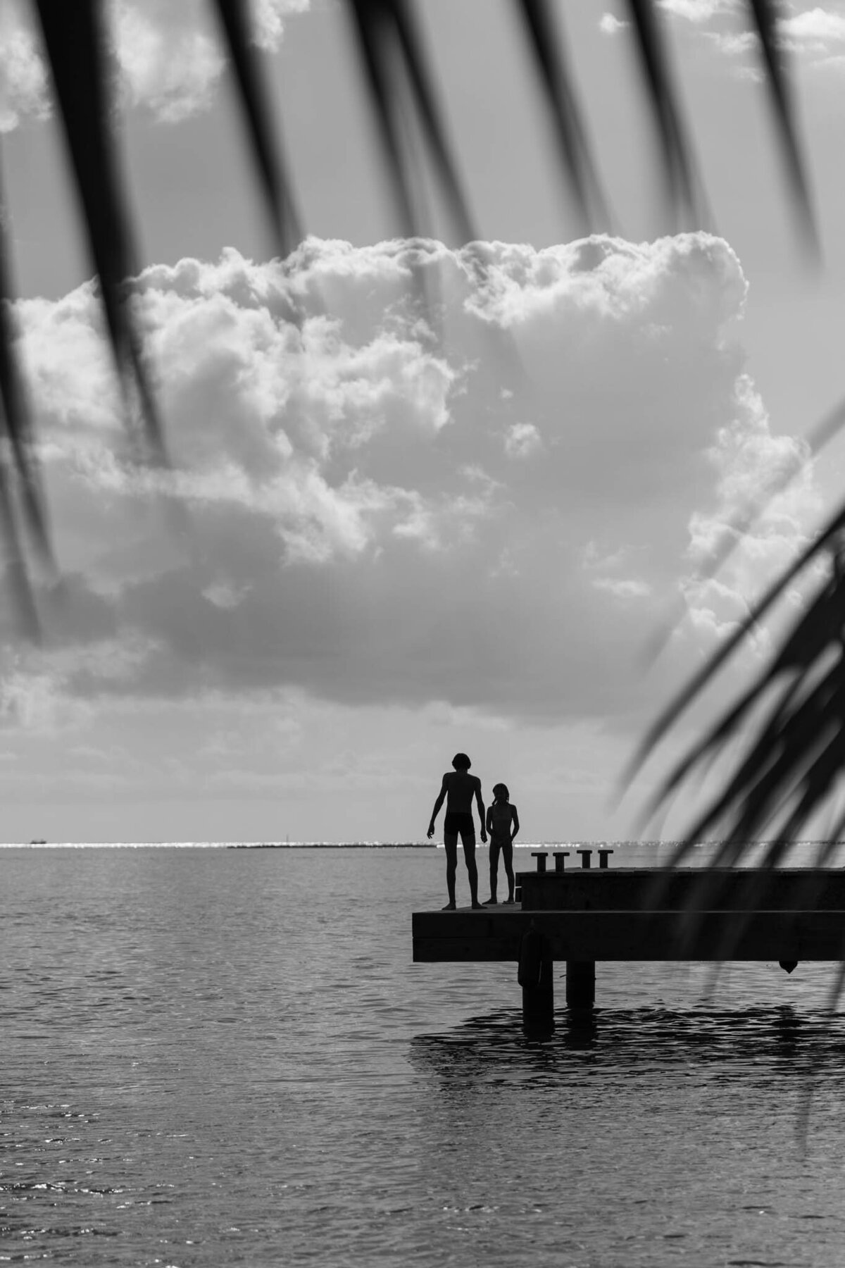 SM-WarmTropics-03333