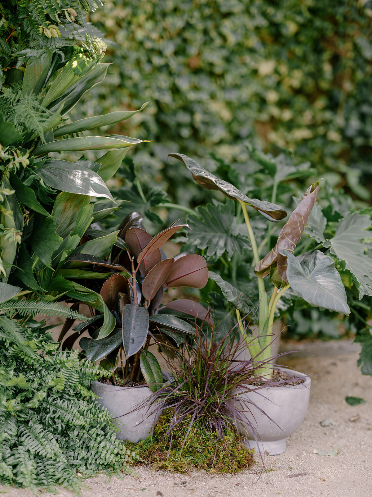 Nate-JT-Wedding-Delivered-highlights-31_websize