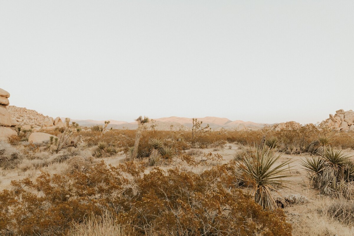 Joshua-Tree-Elopement-24