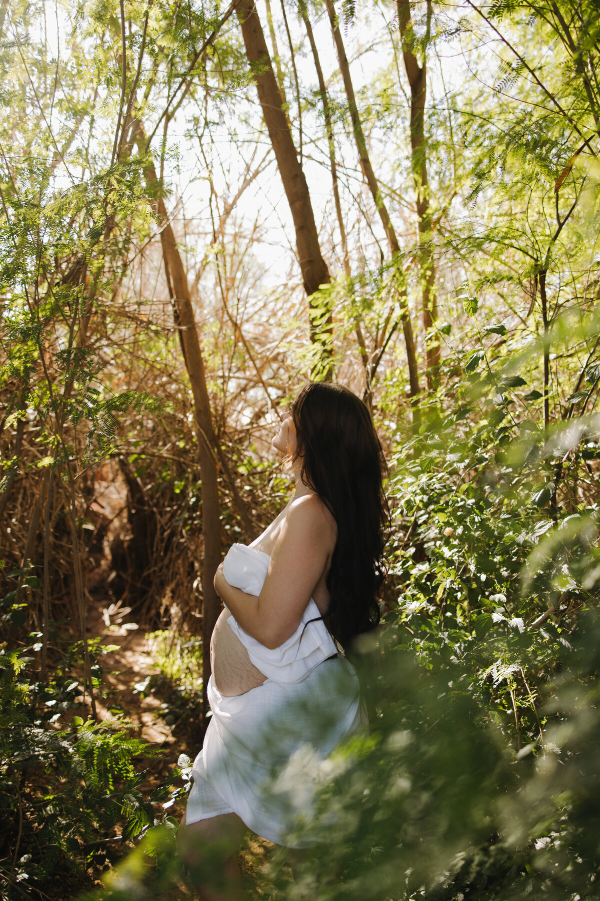 savanna-16