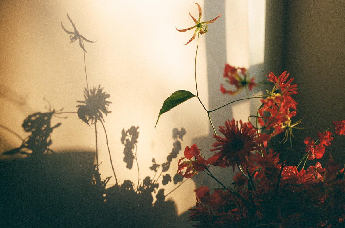 film-wedding-details-46